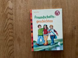 Freundschaftsgeschichten - grosse Schrift - Manfred Mai