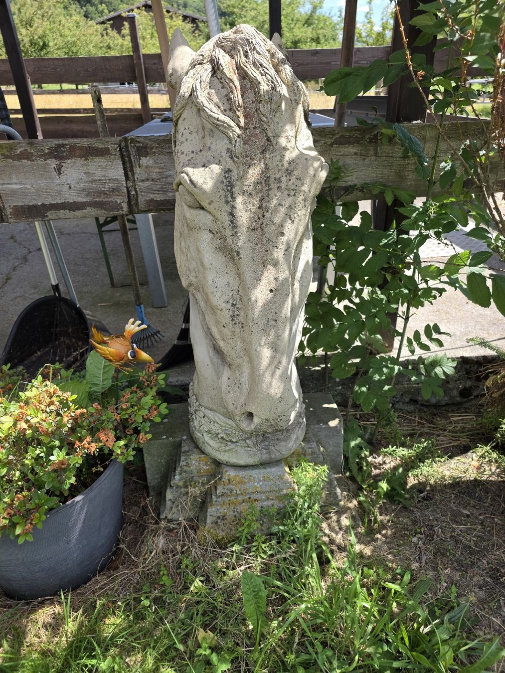 Sculptures & Statues: Pferdekopf Statue – D'occasion à Schübelbach par orson82