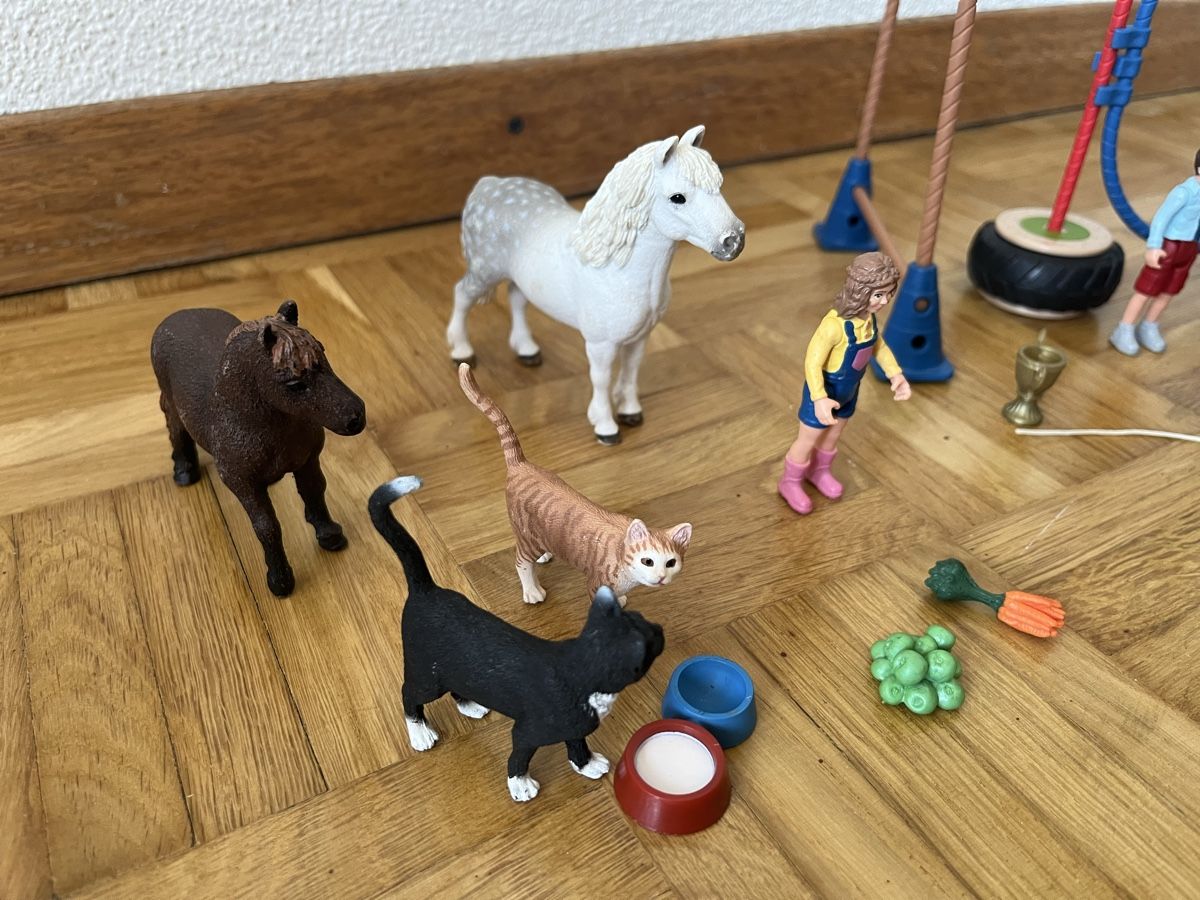Schleich Giocattoli: Schleich Farm World 42482, Pony Agility – Usato da Reutigen venduto da treu3006 4