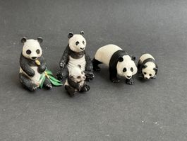Scheich Pandabär Panda Bär groß und klein