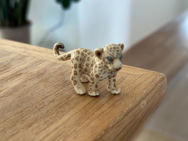 Schleich Figurines: Schleich Gepard Sammelfigur – D'occasion à Fällanden par SafariSchleichCH