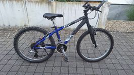 Velo Mountainbike 