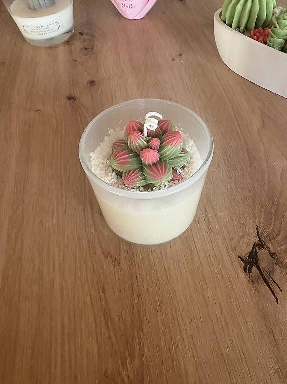 Kerzen: Bougie cactus citron meringuée  – Gebraucht aus Courfaivre von qla_s8bk 1