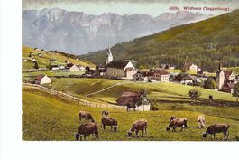 Wildhaus Toggenburg, weidende Kühe, Kirche und Dorf