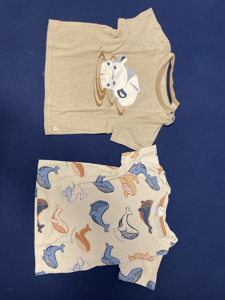 H&M Camicie, T-shirt & Polo: T-Shirt Grösse 74 Knaben – Usato da Rothenburg venduto da Lindas2003 2