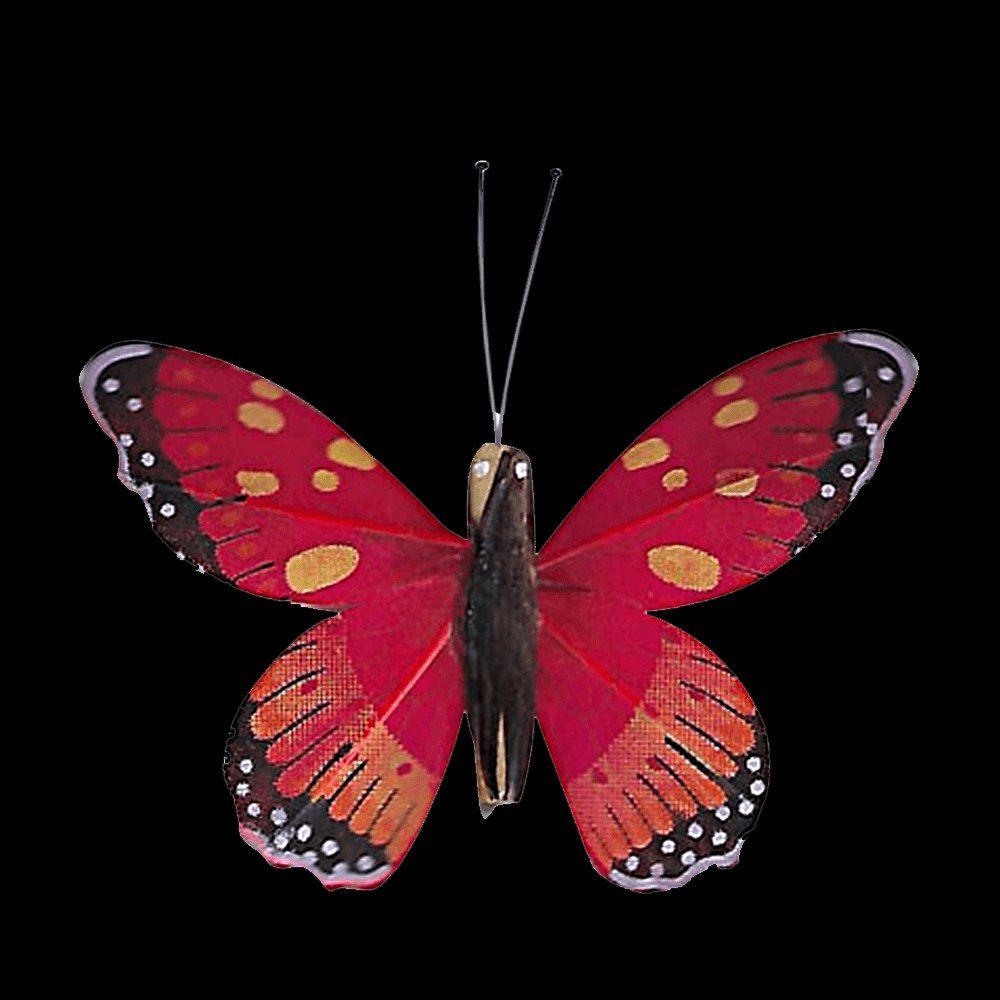 Tutte le decorazioni: Schmetterling Solar auf Holzstab – Nuovo e nell'imballaggio originale da Diepoldsau venduto da preisparadies-ch 9