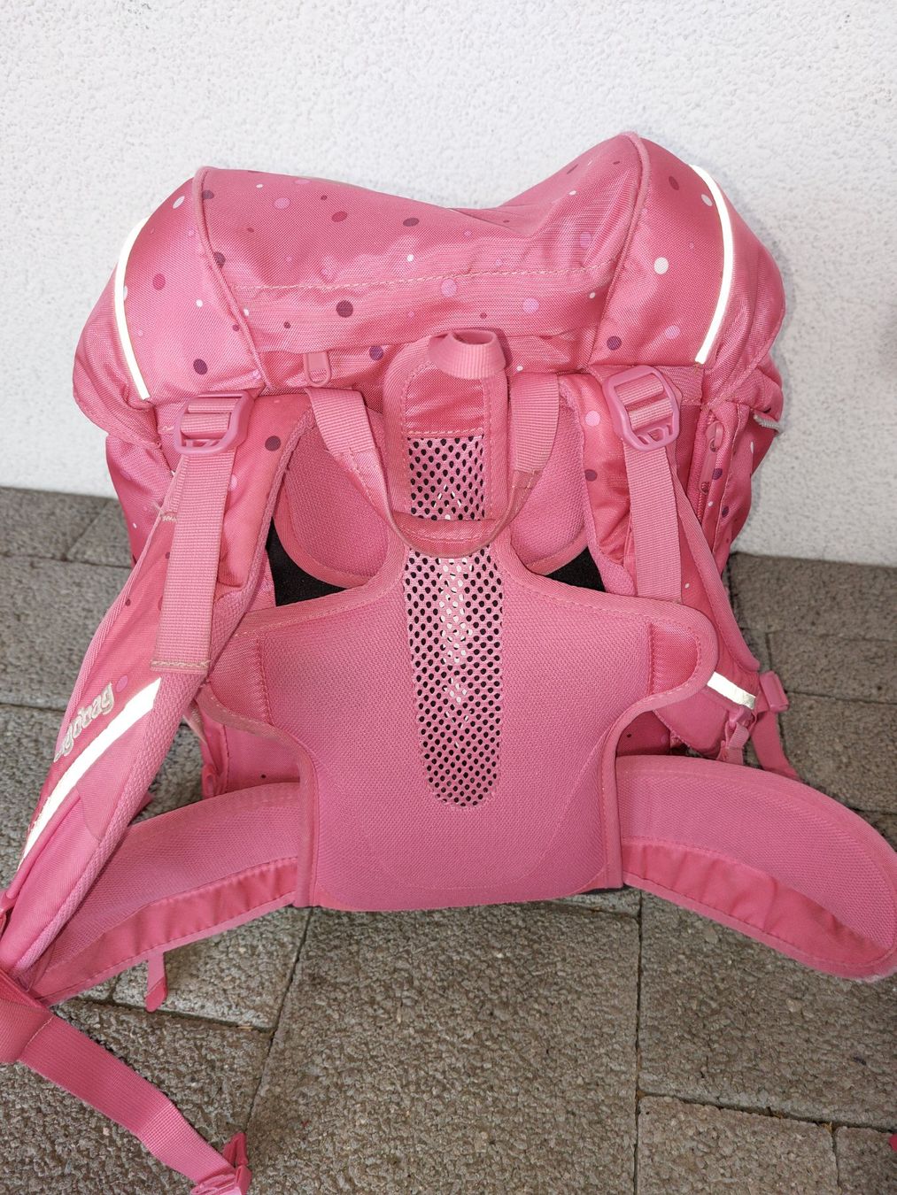 Ergobag Kindertaschen: Schulranzen Ergobag mit Pferdemotiv – Gebraucht aus Oberlunkhofen von Wuschel_26 2