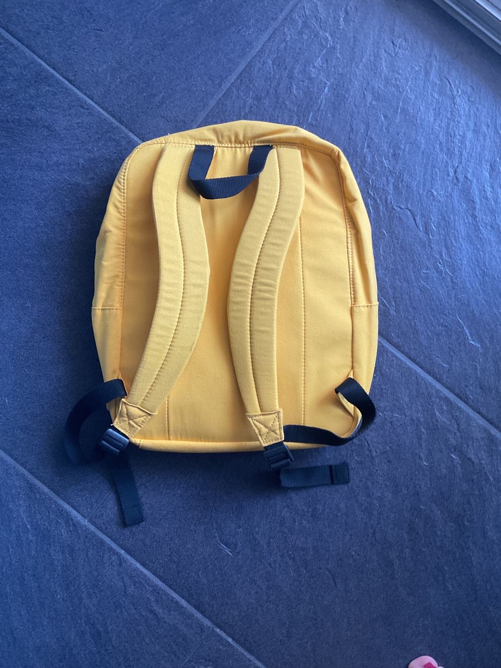 Zaini: Harry Potter Rucksack Hufflepuff – Usato da Niederhasli venduto da Neo220 1