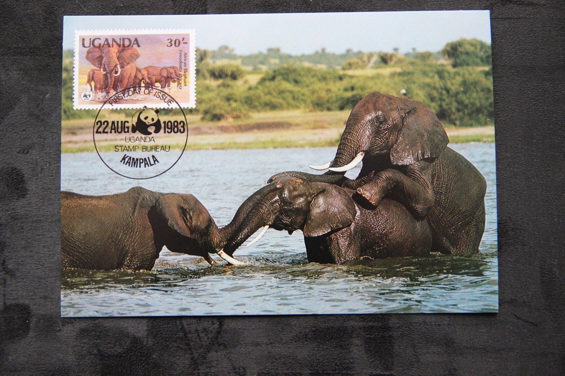 Alle Briefmarken: Uganda 1983 - Maximumkarten - Elefanten (WWF) – Neu (gemäss Beschreibung) aus Jona von Southafrica07 3