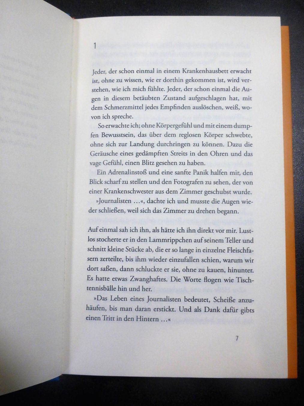 Bücher: Raul Argemi: Chamäleon Cacho – Gebraucht aus Jegenstorf von ladoga66 3