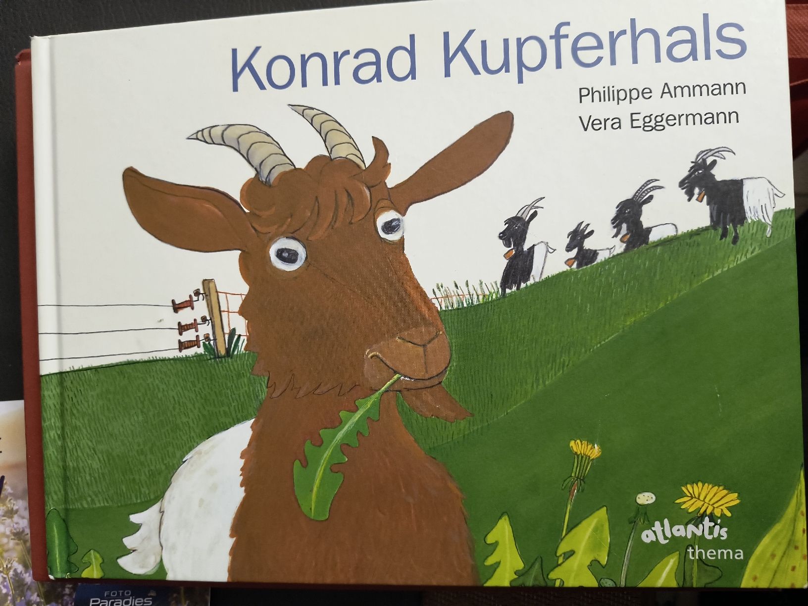 Libri: Kinderbuch Konrad Kupferhals – Usato da Oberweningen venduto da Bumblebee2
