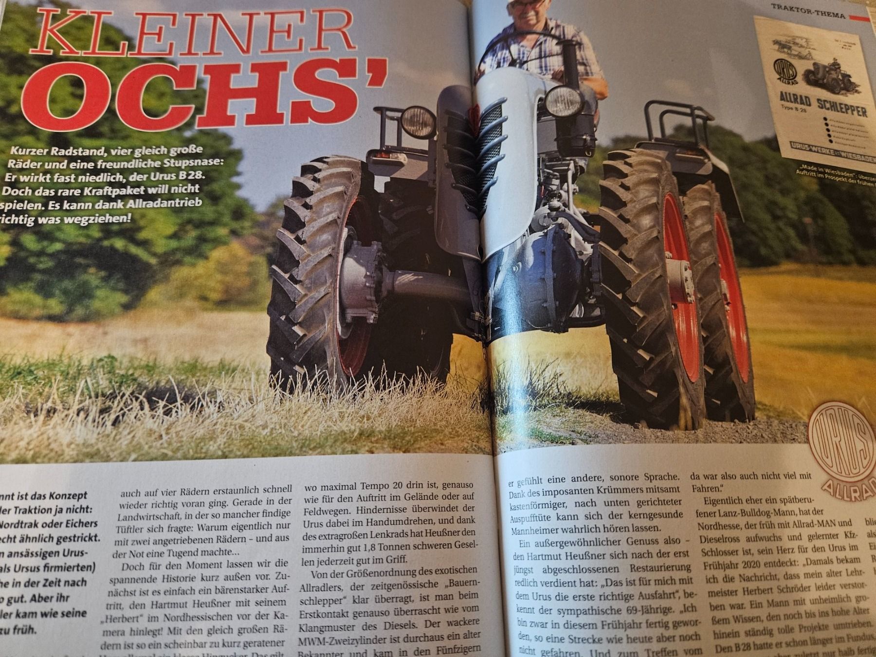 Massey Ferguson Traktoren: Oldtimer Traktor 11/22 Schlüter Steyr 8130 Stock MF Urus xb – Gebraucht aus Flawil von sr1_f6st 9