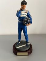 Damon Hill F1 Champion