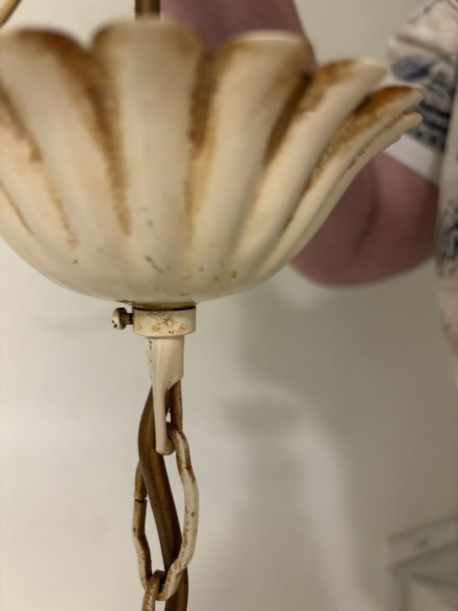 Lampadari & plafoniere: Hängelampe mit Blumenkelchen  und Blättern – Usato da Kriens venduto da Mollinos 5