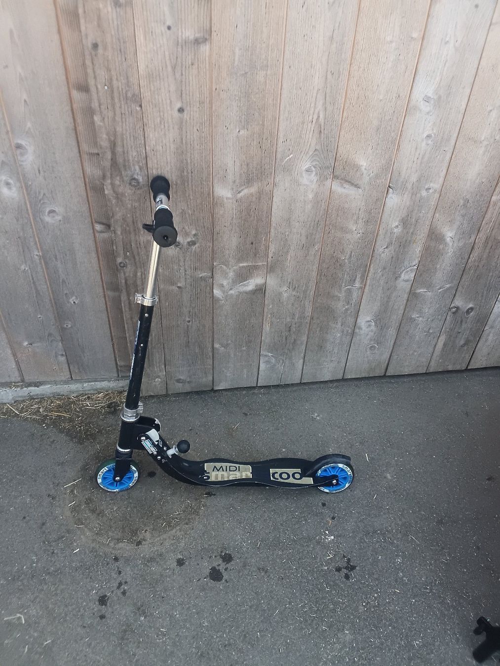 Kickboard: Trottinett – Usato da Lützelflüh venduto da fortuna87 2