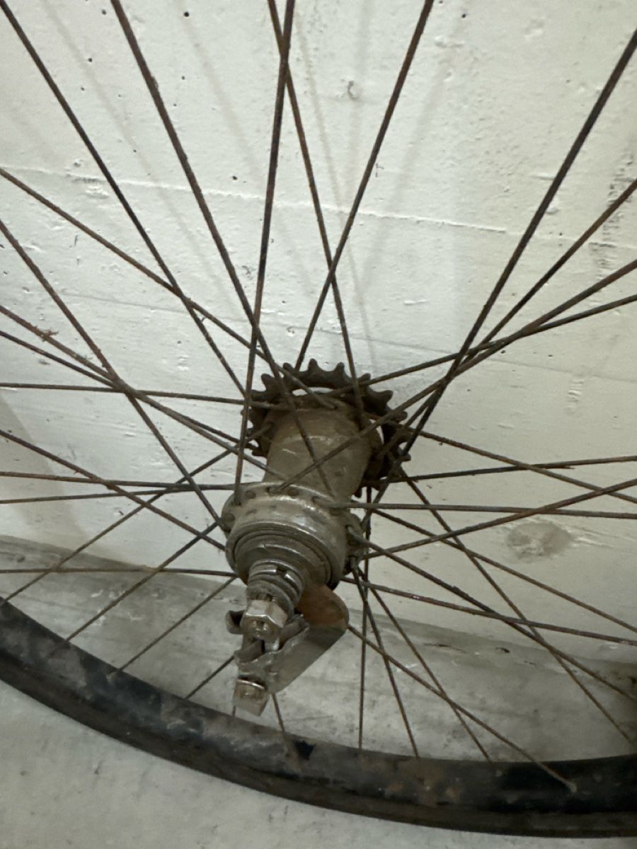 Pezzi di ricambio: Velo-Rad-Satz Militärvelo – Usato da Zürich venduto da mah_zb5t 2