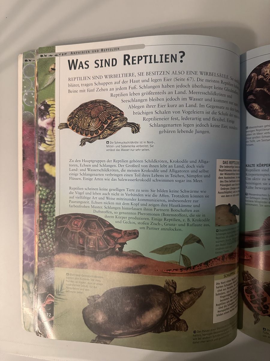 Libri: Die Tiere der Welt  – Usato da Kerzers venduto da emu53 1