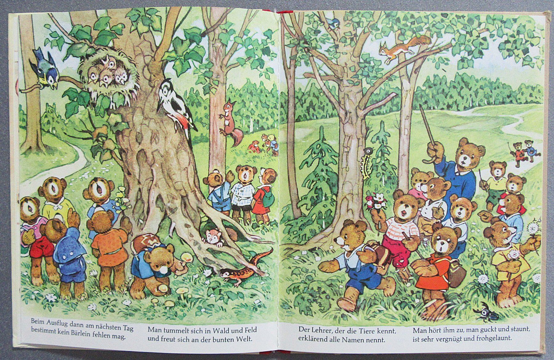 Libri: Die Teddyschule - mit Bildern von Fritz Baumgarten – Usato da Auenstein venduto da Padabimbim 3