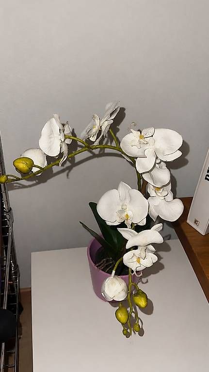 Piante & sementi: Künstliche Deko Orchidee – Usato da Derendingen venduto da ang_5gnn