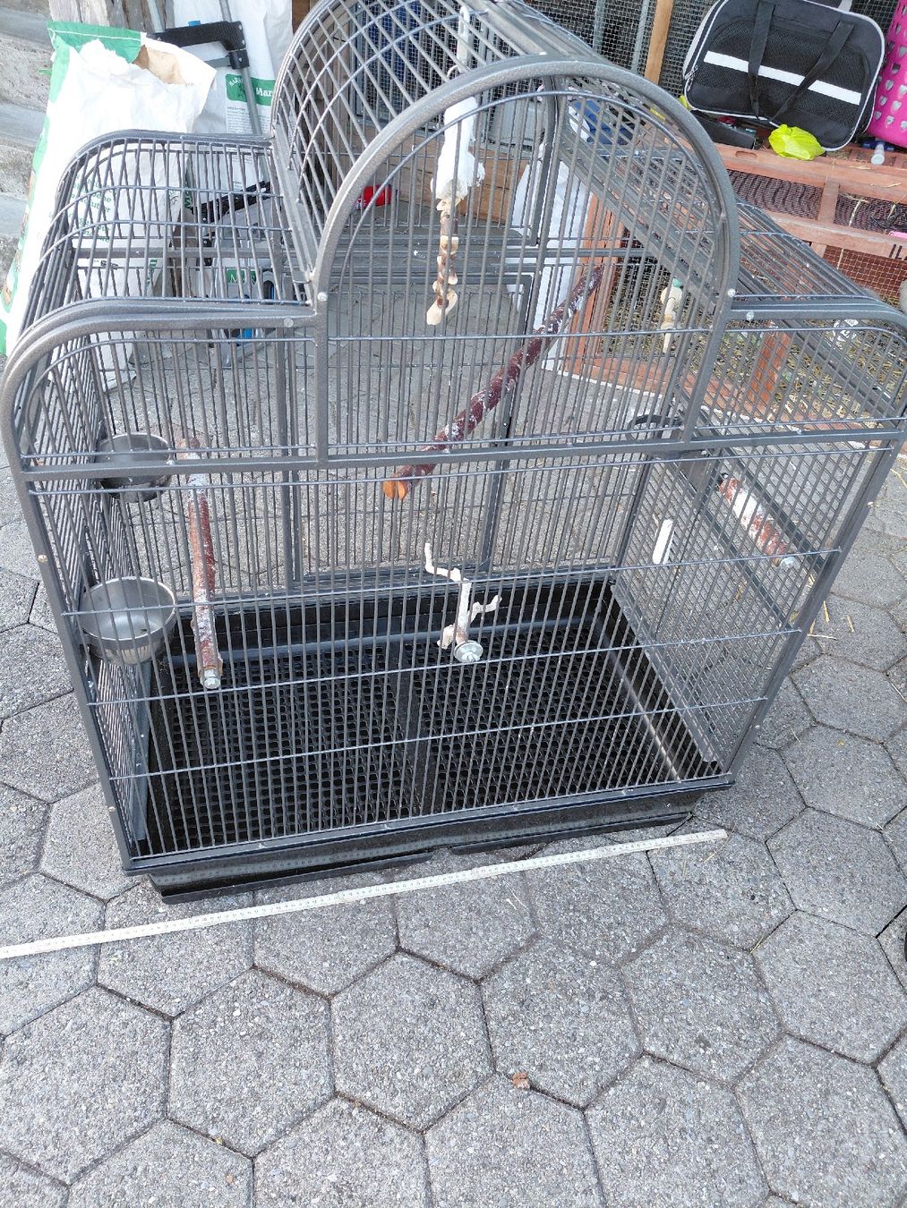 Gabbie, trasporto & Sicurezza: vogelkäfig – Usato da Riedholz venduto da Dilovan07