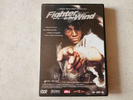Fighter In The Wind