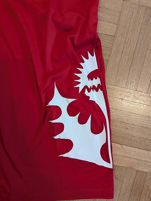Nike Leibchen & Hosen: AS Nancy Lorraine Trikot – Gebraucht aus Luzern von phi_89 3