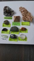 10er Set Trommelsteine mit seltenem Anthophyllit: Set 71