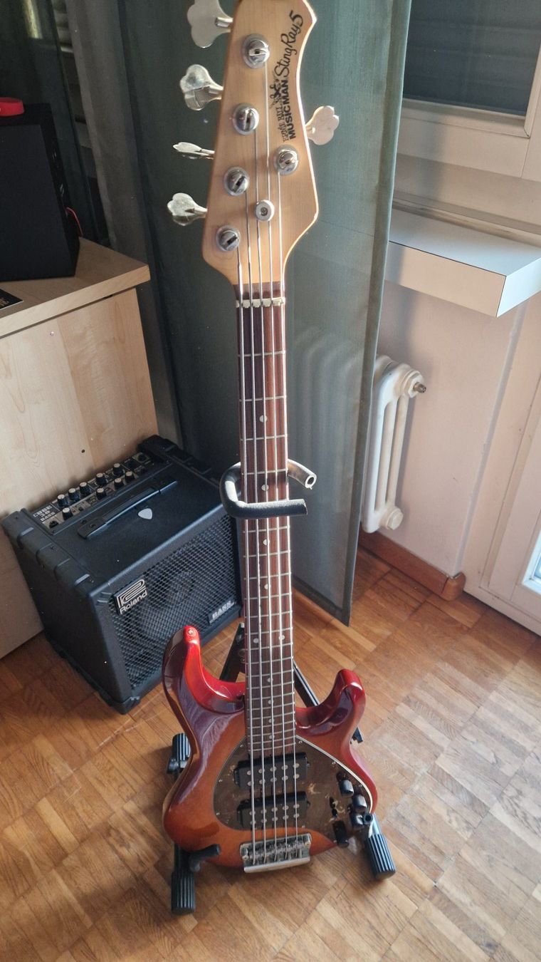 Music Man Musikinstrumente: Ernie Ball/Music Man Stingray5 HH – Gebraucht aus Volketswil von ala_d7hx