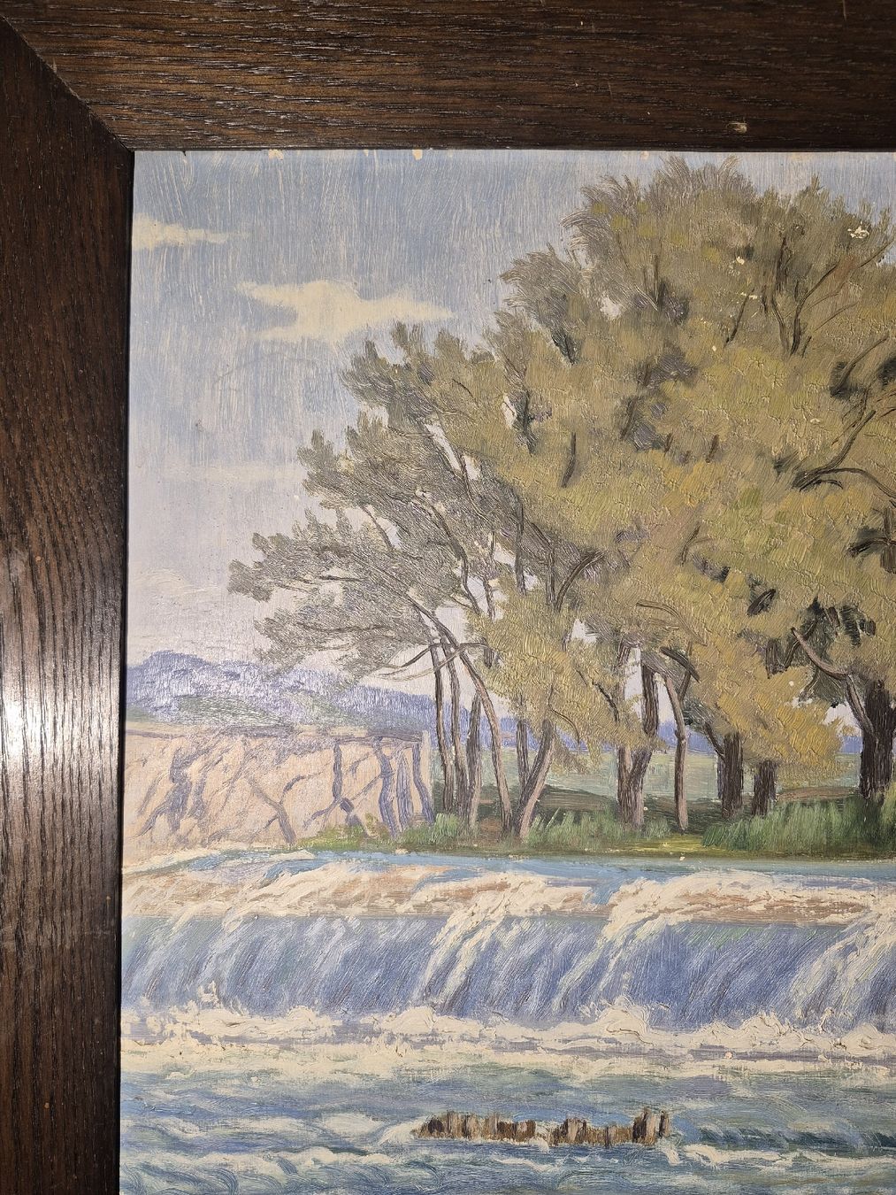 Dipinti: Gemälde von Hans Arnold Daepp "Thurrain" von 1913 – Usato da Schaffhausen venduto da Caroline_Stein 4