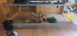 Terrarium spacieux pour reptiles avec les accessoires