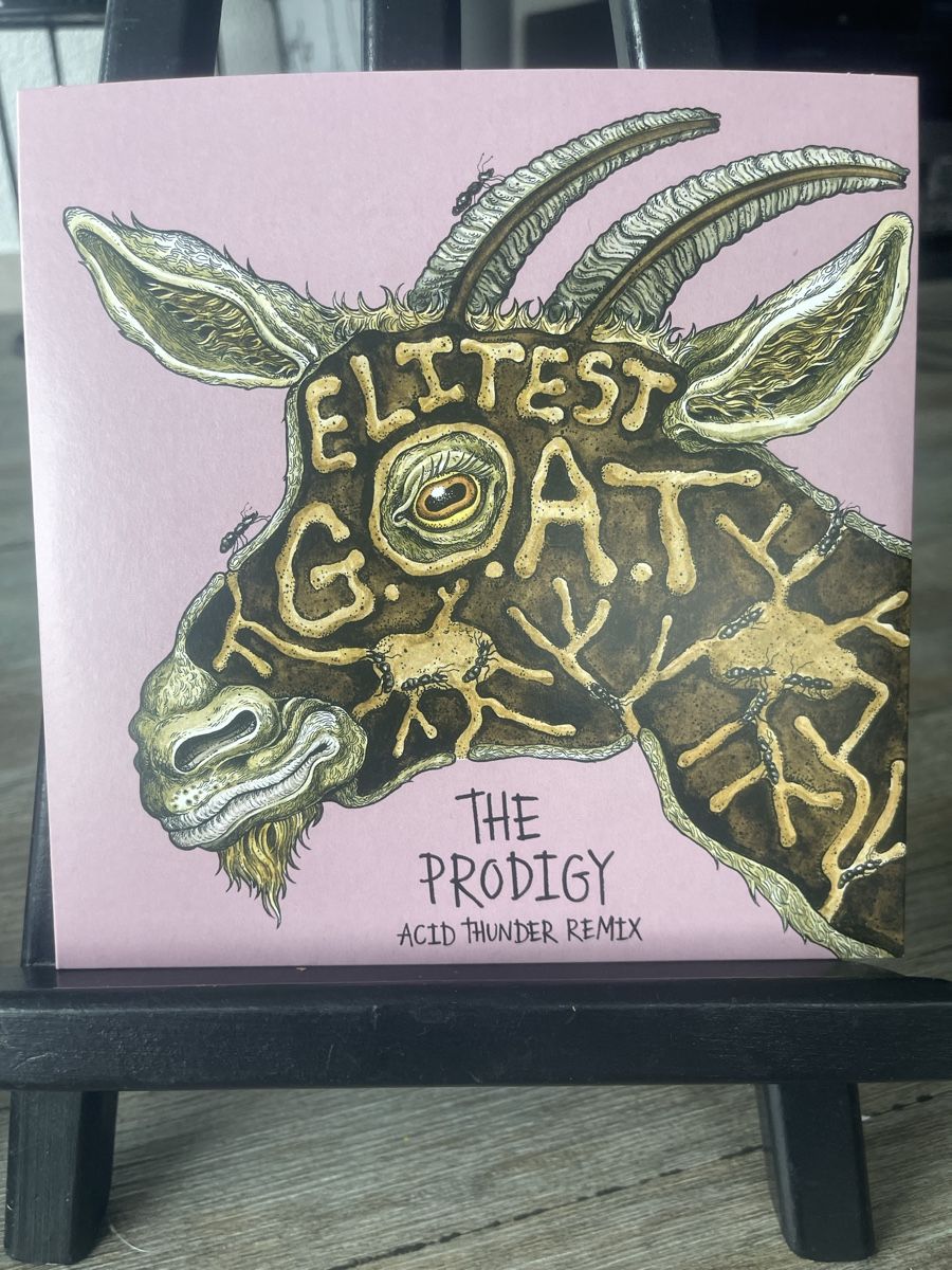 Dischi in vinile: The Prodigy / Acid Thunder Rmx Sleaford Mods  – Nuovo (secondo la descrizione) da Dagmersellen venduto da stonefinger