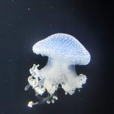 Profile image of Patrick1975
