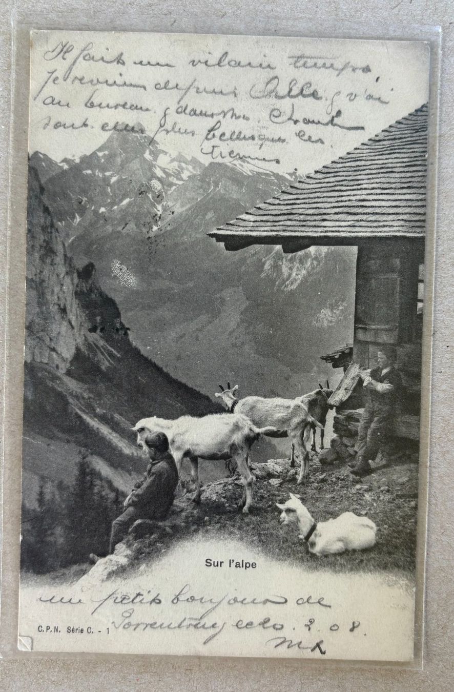 Cartoline postali: AUF DER ALP – Usato da Ostermundigen venduto da Heavenmaus75