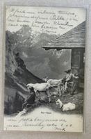 AUF DER ALP