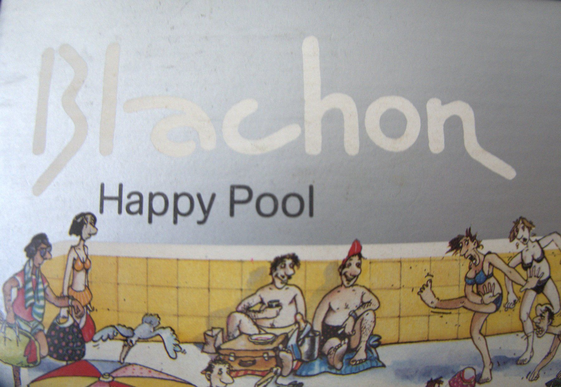 Heye Puzzle: Puzzle Blachon Happy Pool 1000 Teile - HEYE – Usato da Rheinfelden venduto da bigi0956 1