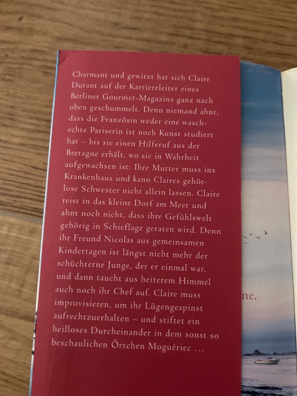 Livres: Die Wolken Fischerin – D'occasion à Worben par AlliaB 2