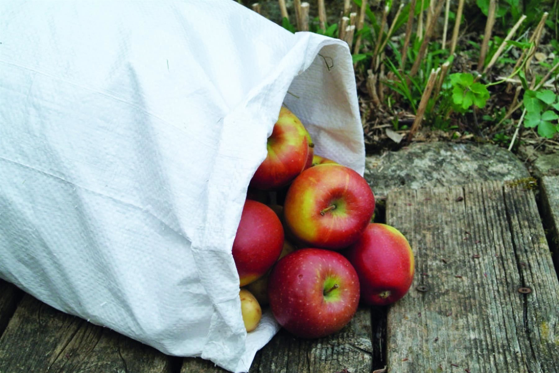 Tessuti: Gewebesack, PP, 40 x 60 cm, 15 Kg – Nuovo e nell'imballaggio originale da St. Gallen venduto da cointec 1