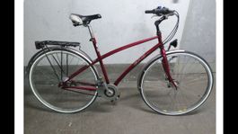 Damenvelo Cilo 53 cm