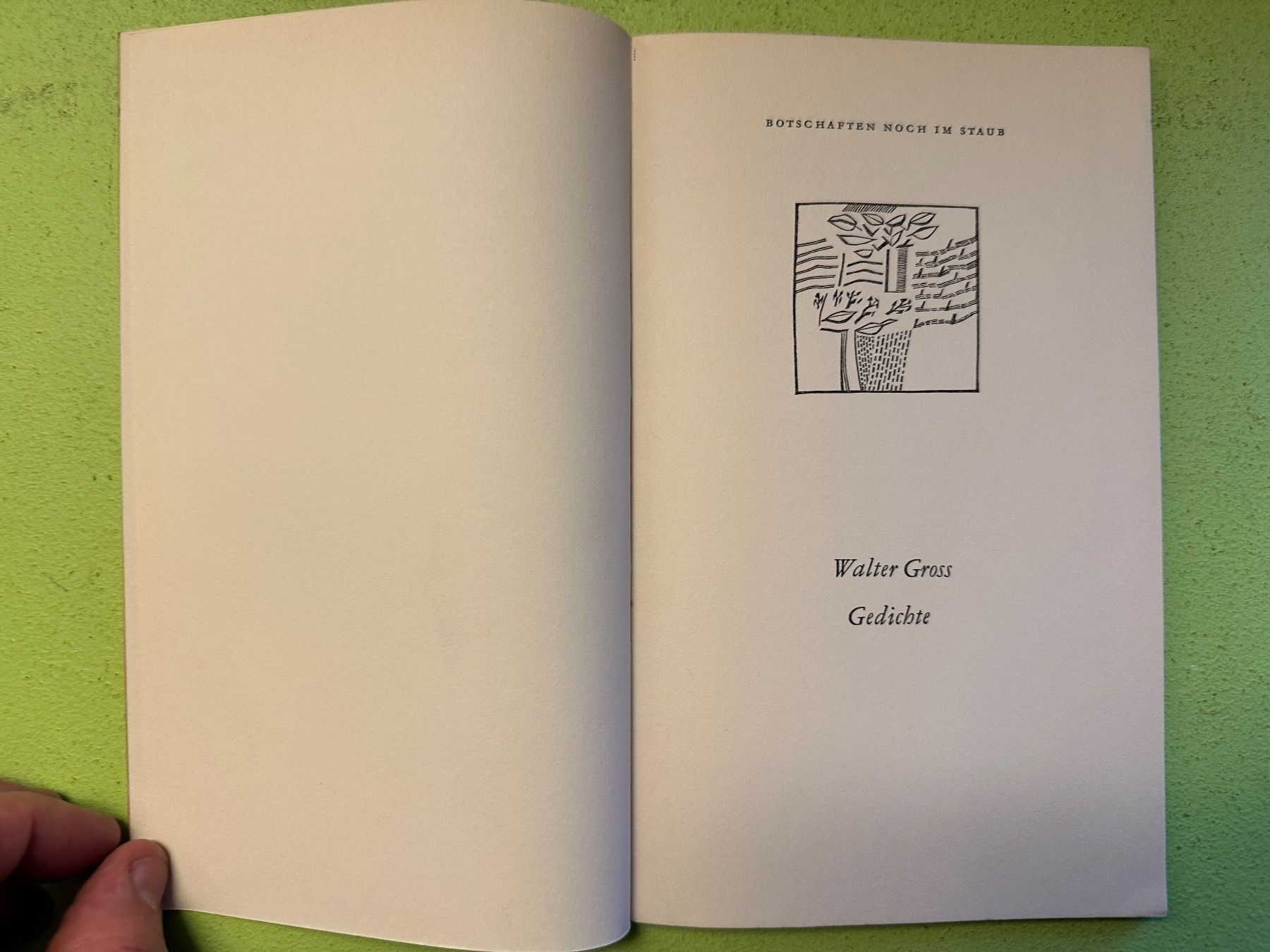 Libri: Walter Gross: Botschaften noch im Staub. – Usato da Zürich venduto da allp 1