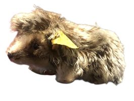 Steiff - Igel Joggi, komplett, Fahne verschlissen - 15 cm l