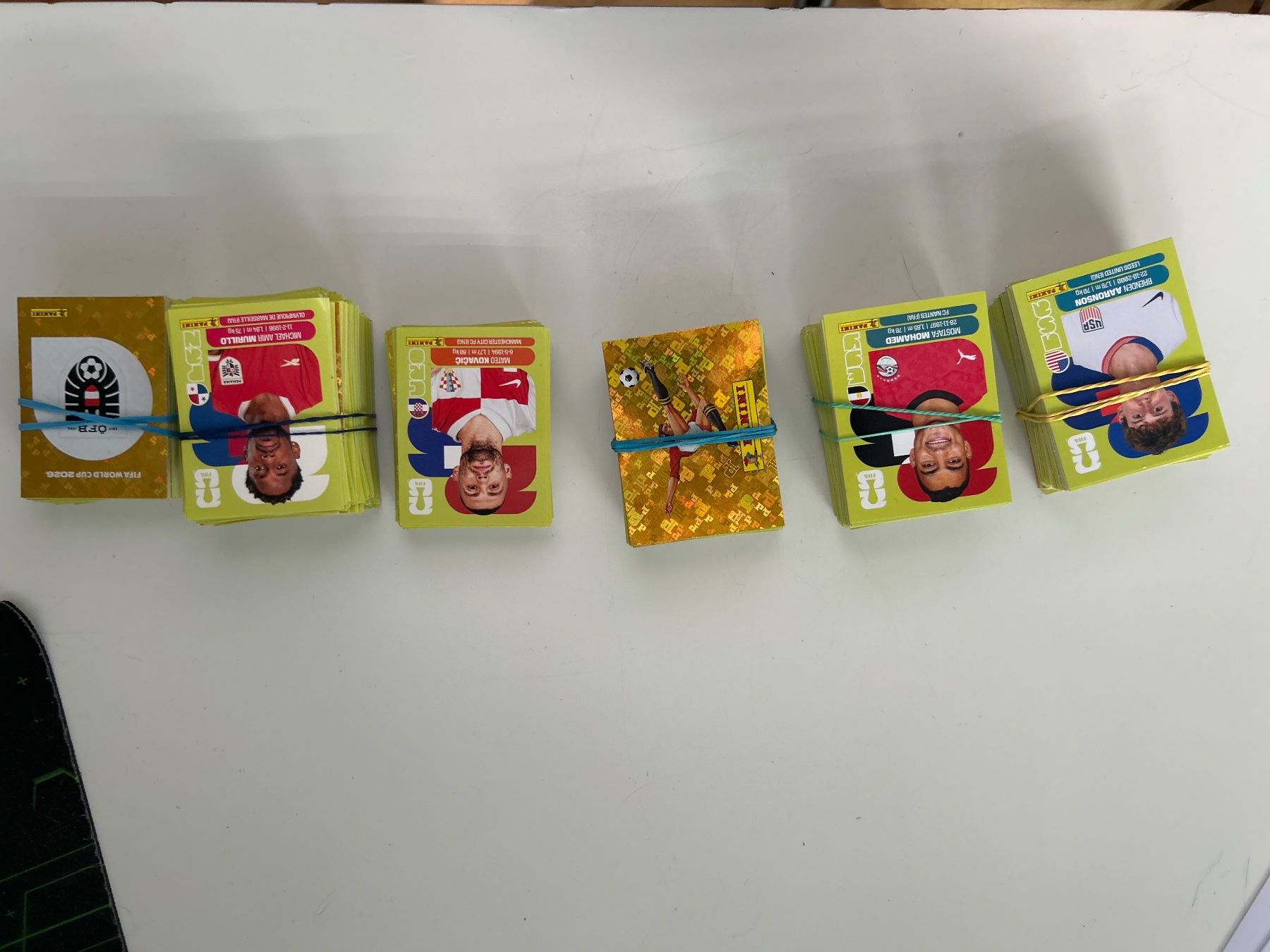 Panini Carte collezionabili: Panini Sticker WM 2026 – Nuovo (secondo la descrizione) da Pfäffikon ZH venduto da sev_25tv