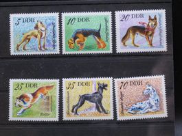 DDR 1976 Hunderassen **