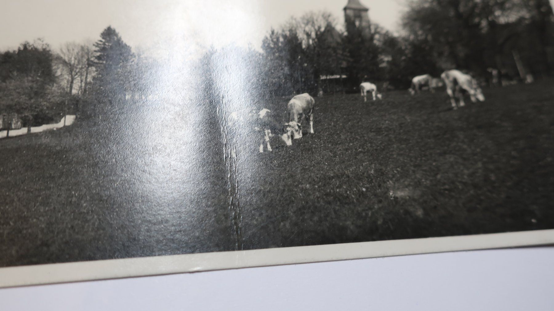 Cartoline postali: Sutz  1933 – Usato da Cormoret venduto da Pascalll2001 3