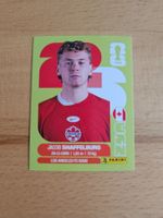 Panini WM 2026 CAN 14