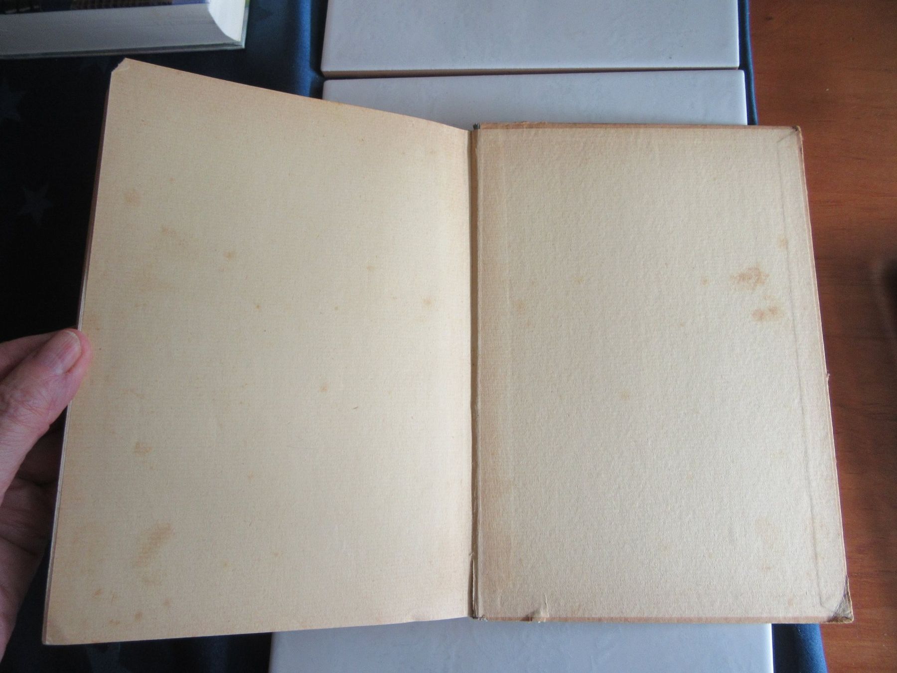 Libri: Brüder Grimms Kindermärchen, altes Buch – Usato da Wattwil venduto da wampi 7
