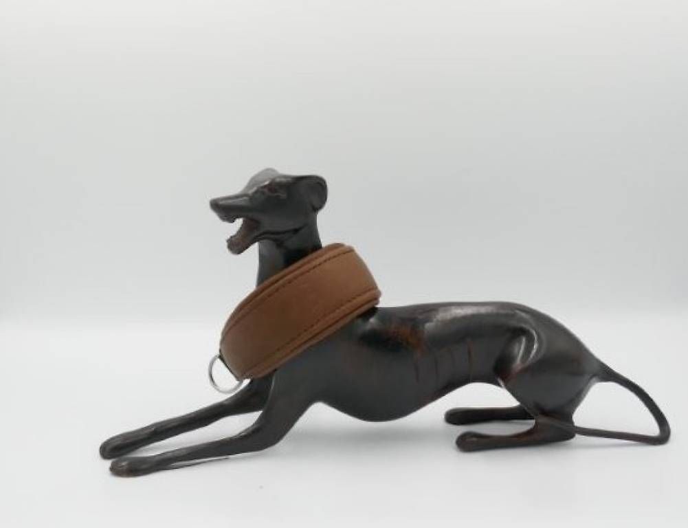 Catenine: Colliers lévriers Whippet cuir  – Usato da Mollens VD venduto da joyandbeauty 4