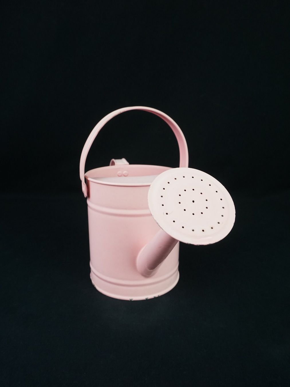 Annaffiatura & Irrigazione: Kindergiesskanne Rosa – Usato da Pratteln venduto da Restwert_Pratteln 2