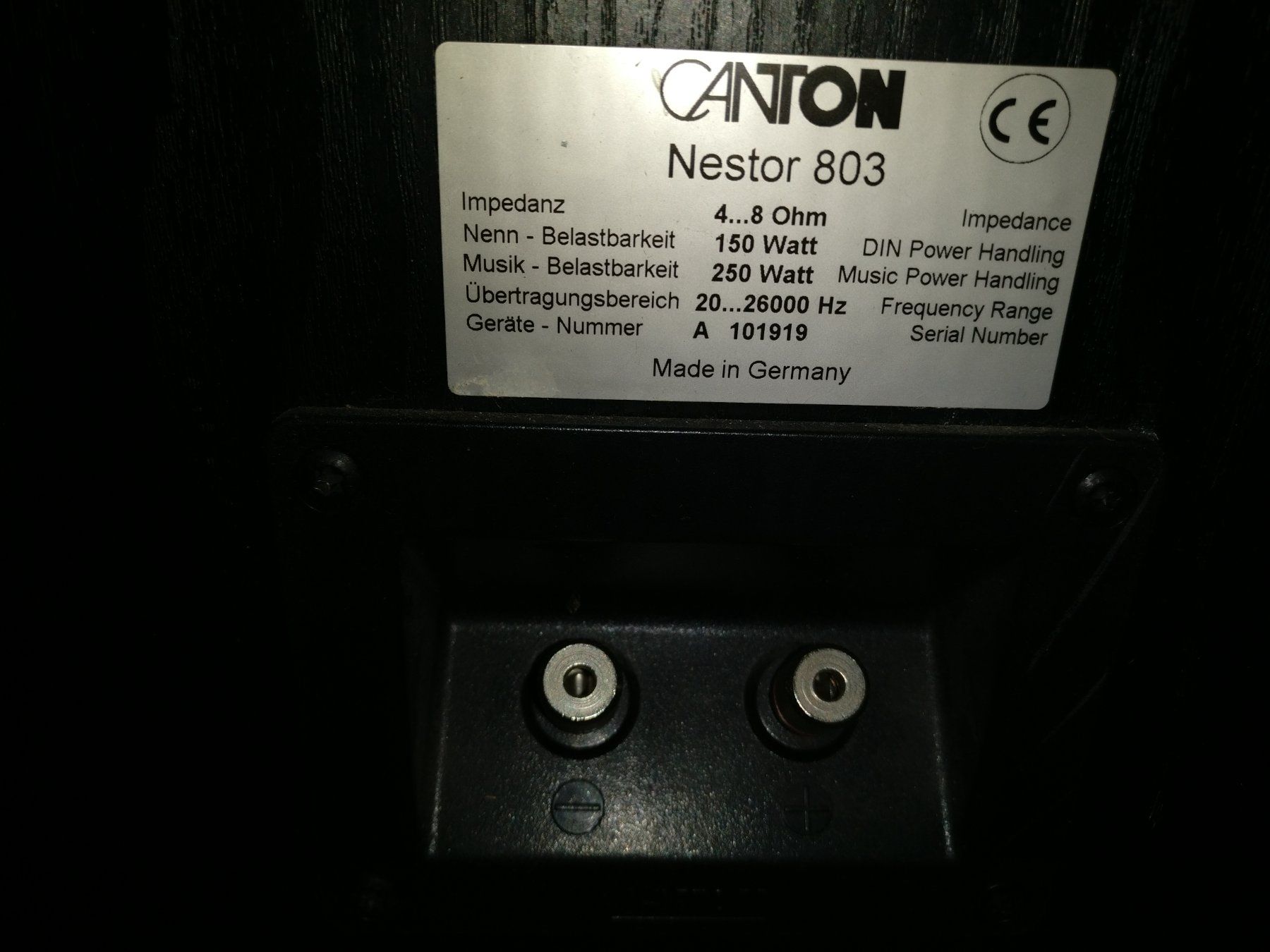 Canton Casse acustiche: CANTON NESTOR 803 2 X 250 W – Usato da Viganello venduto da XTECHSTOREX 5