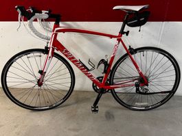 Rennvelo XL groß: Specialzed Allez