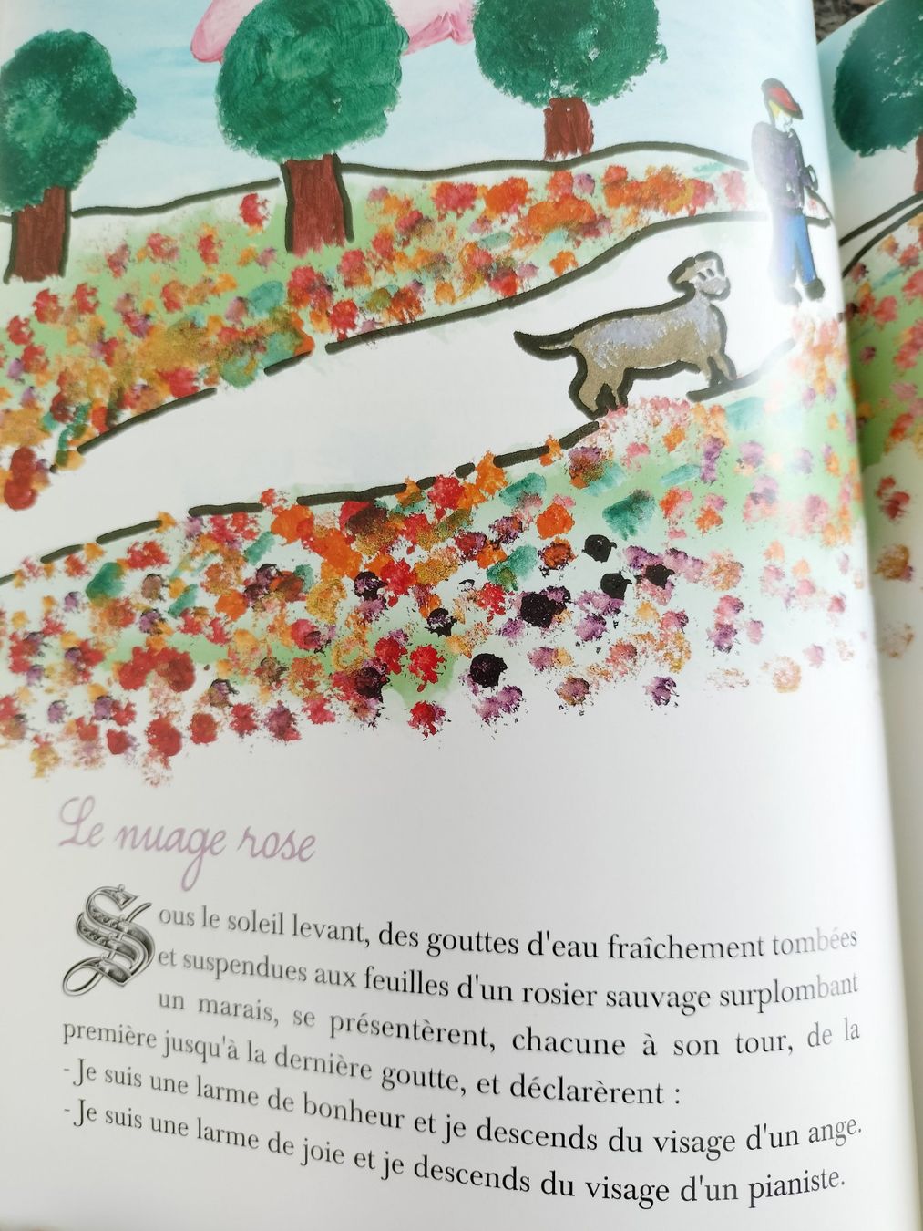 Bücher: Les contes de Noé – Gebraucht aus Cortaillod von rozinna 6